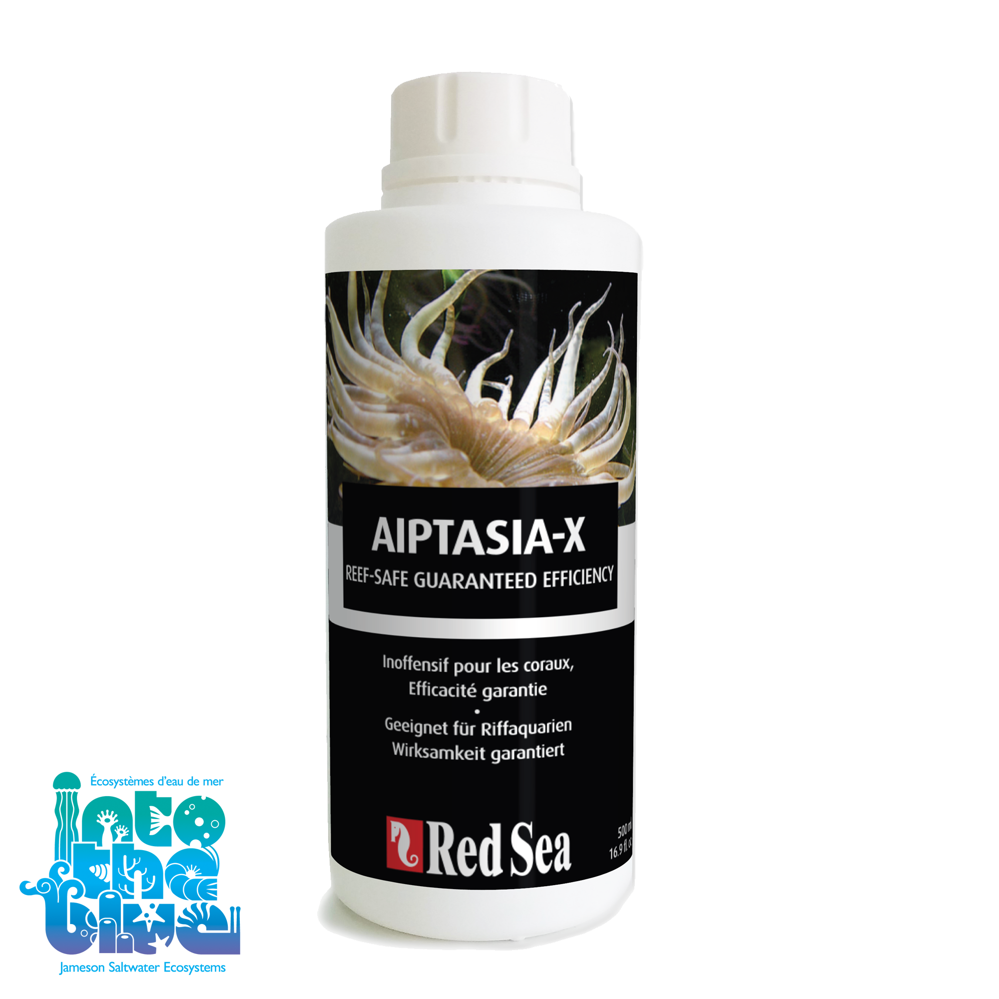 Aiptasia
