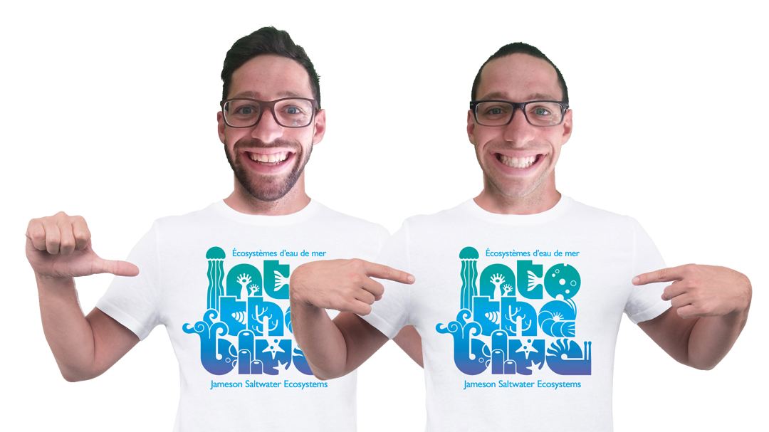 Halloween Hermit Crabs for sale on Halloween?? It might just be crazy enough to work!!