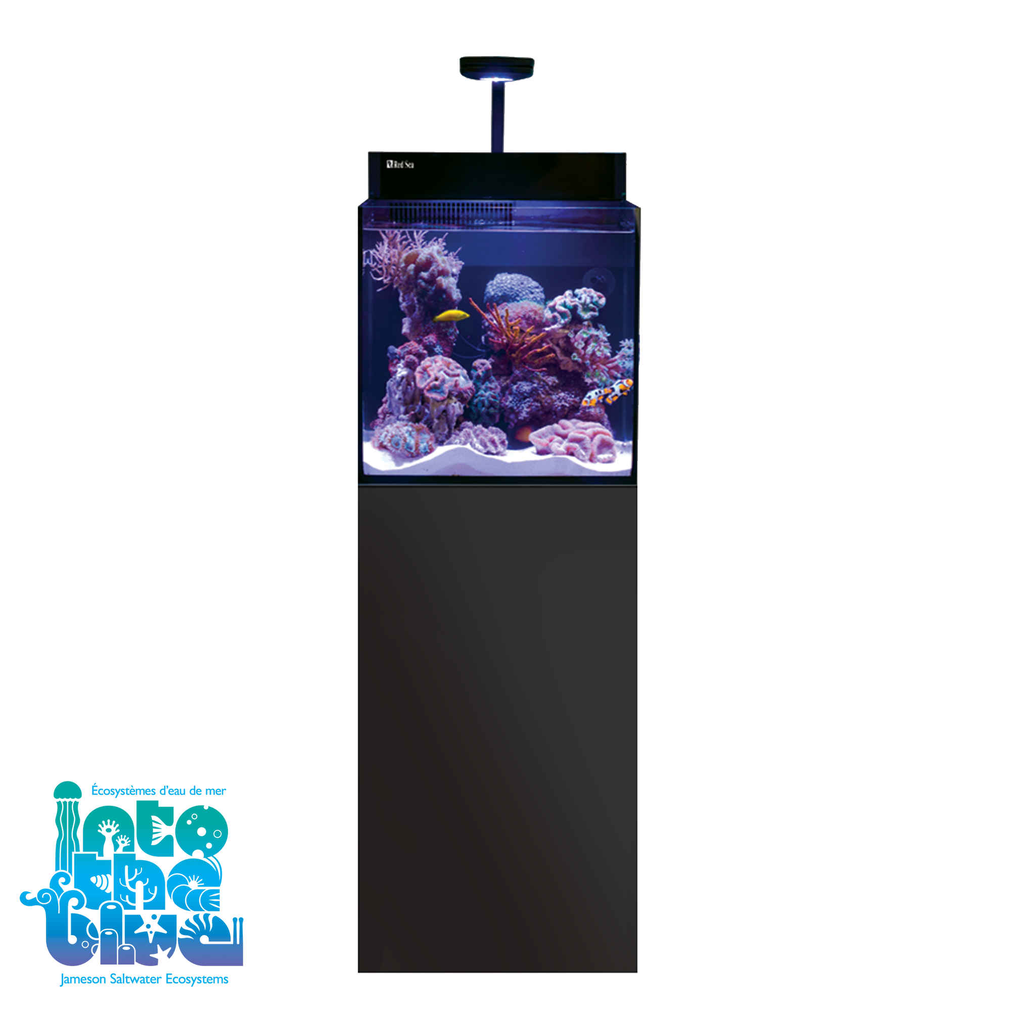 Red Sea - Max | Nano ReefLED