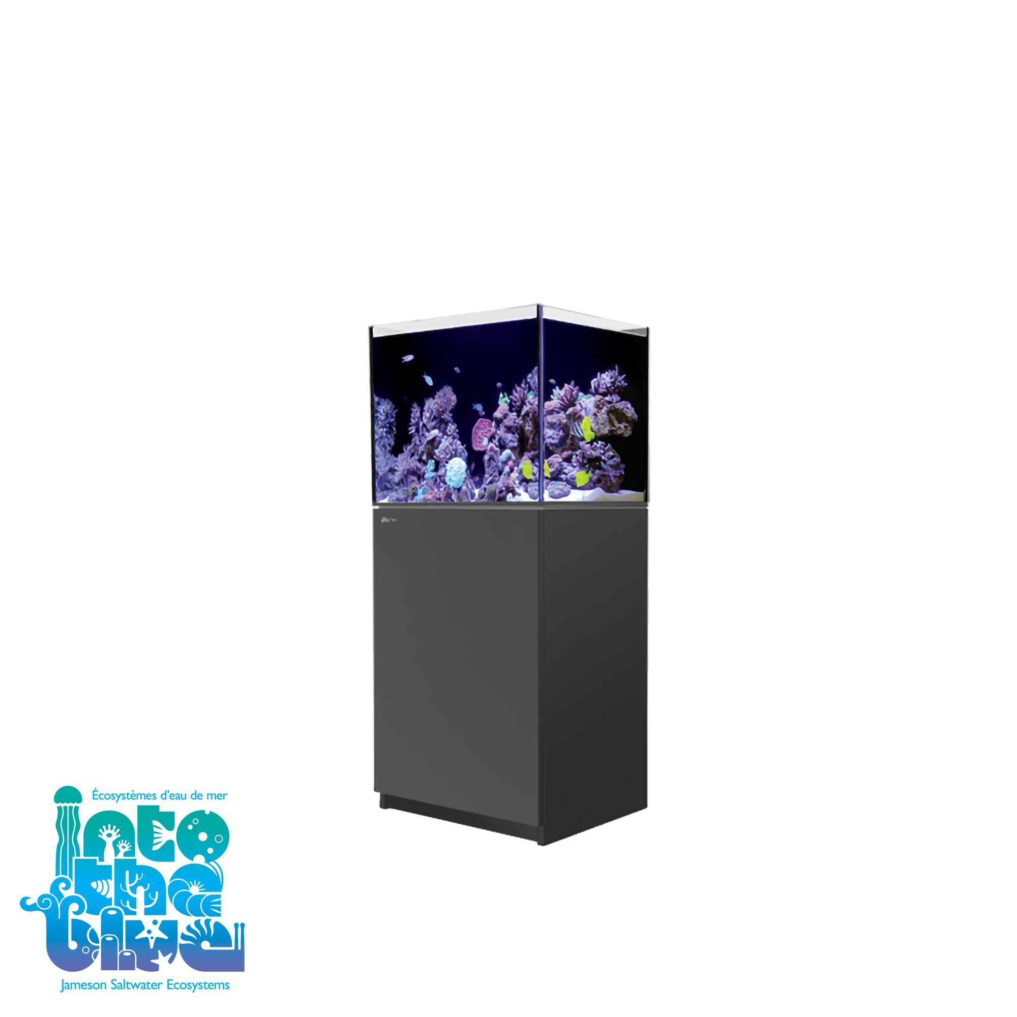 Red Sea - Reefer | 170 G2