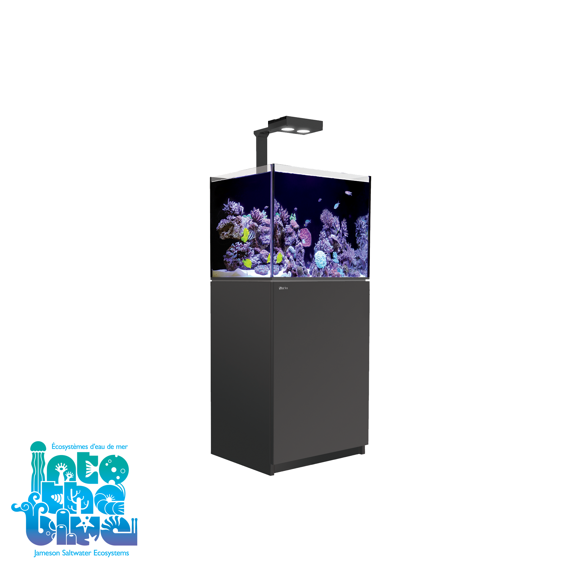 Red Sea - Reefer | 170 G2