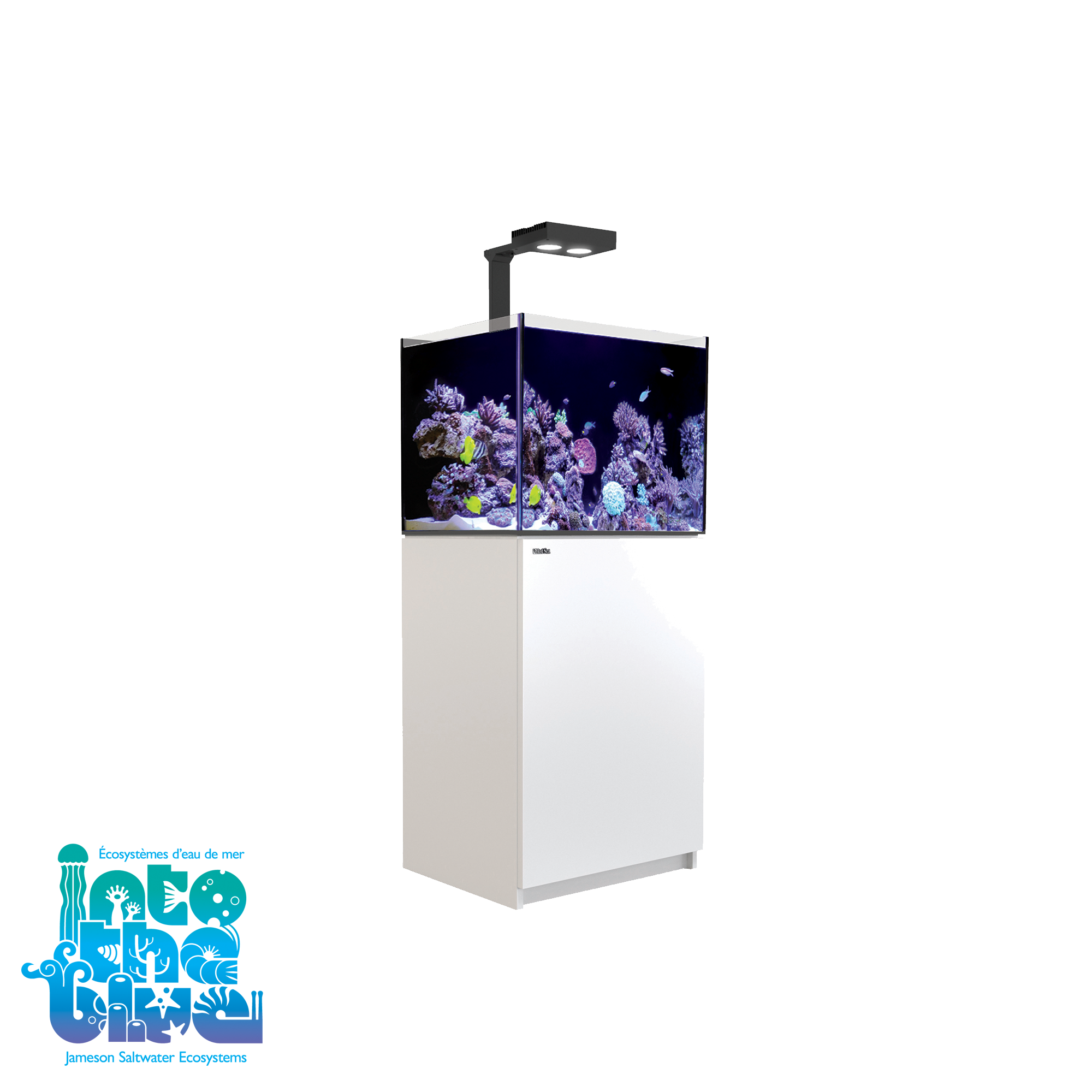 Red Sea - Reefer | 170 G2