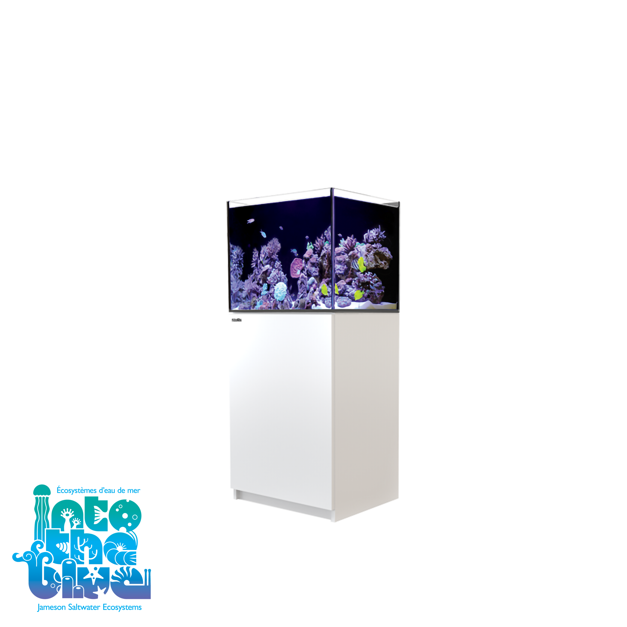 Red Sea - Reefer | 170 G2