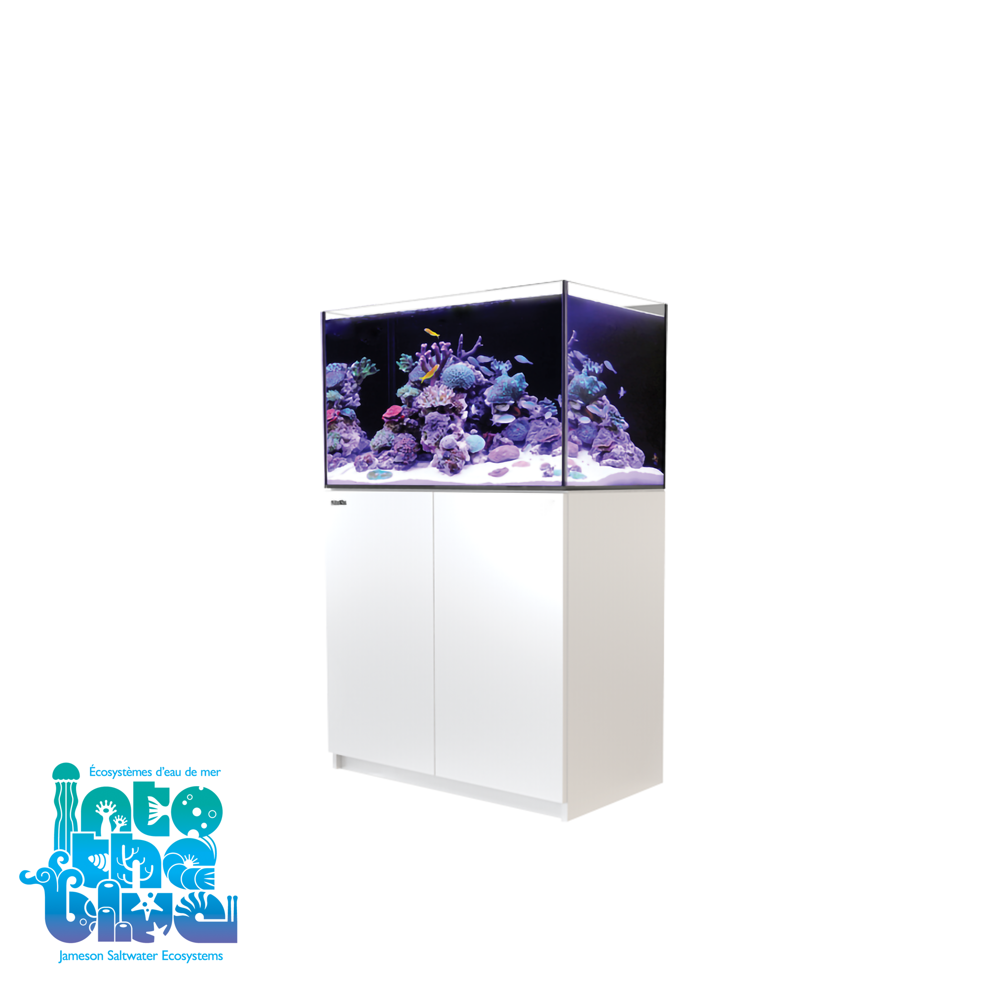 Red Sea - Reefer | 250