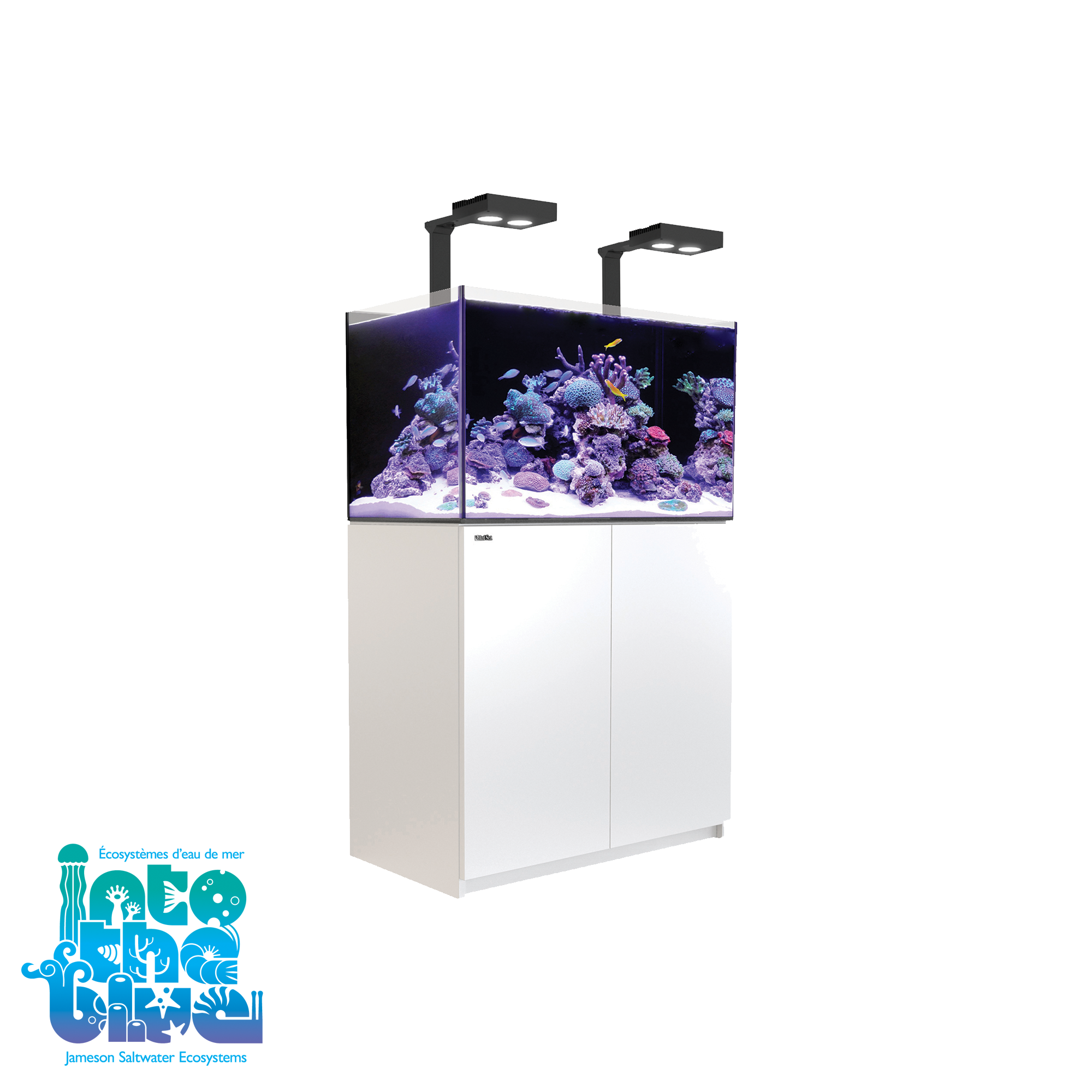 Red Sea - Reefer | 250