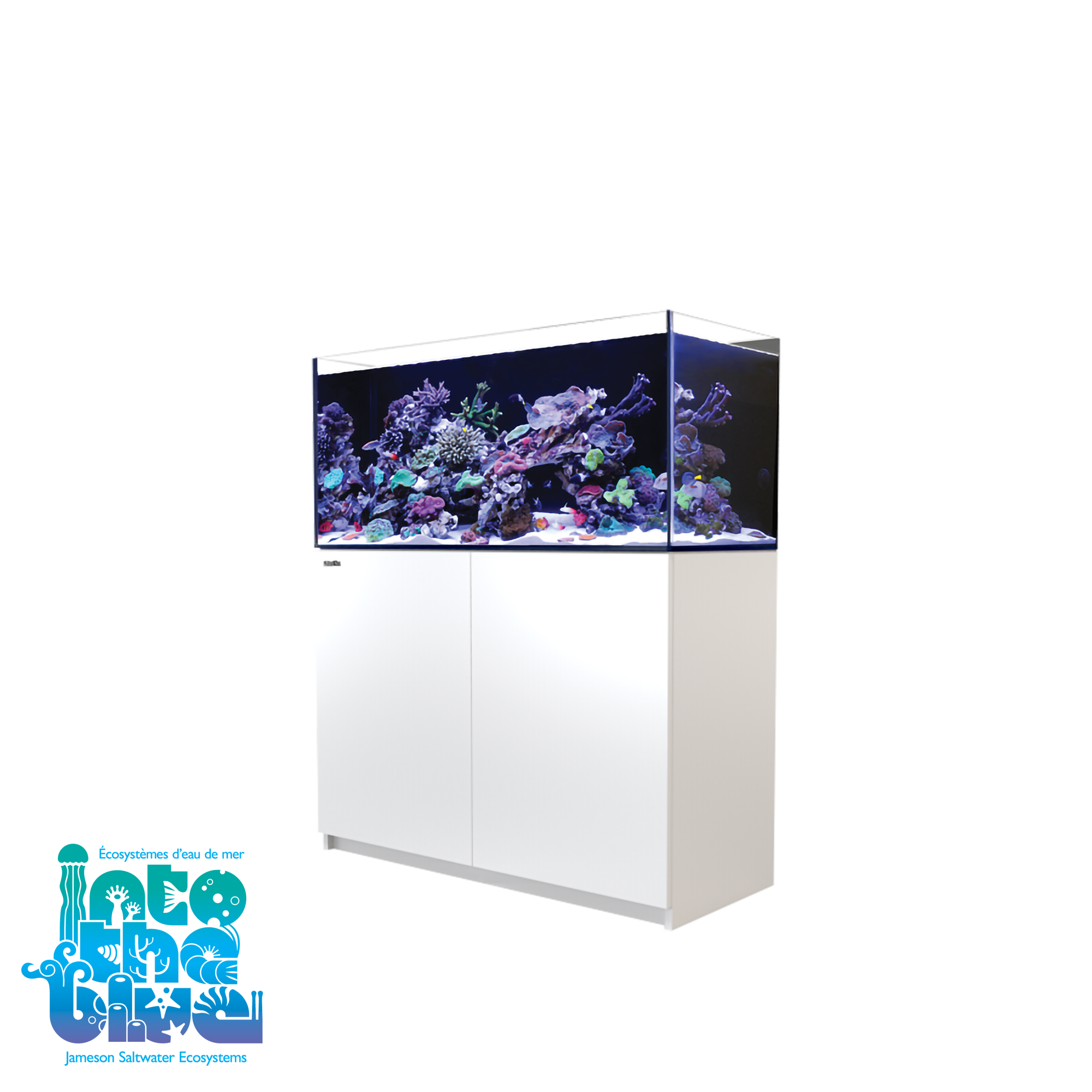 Red Sea - Reefer | 350 G2