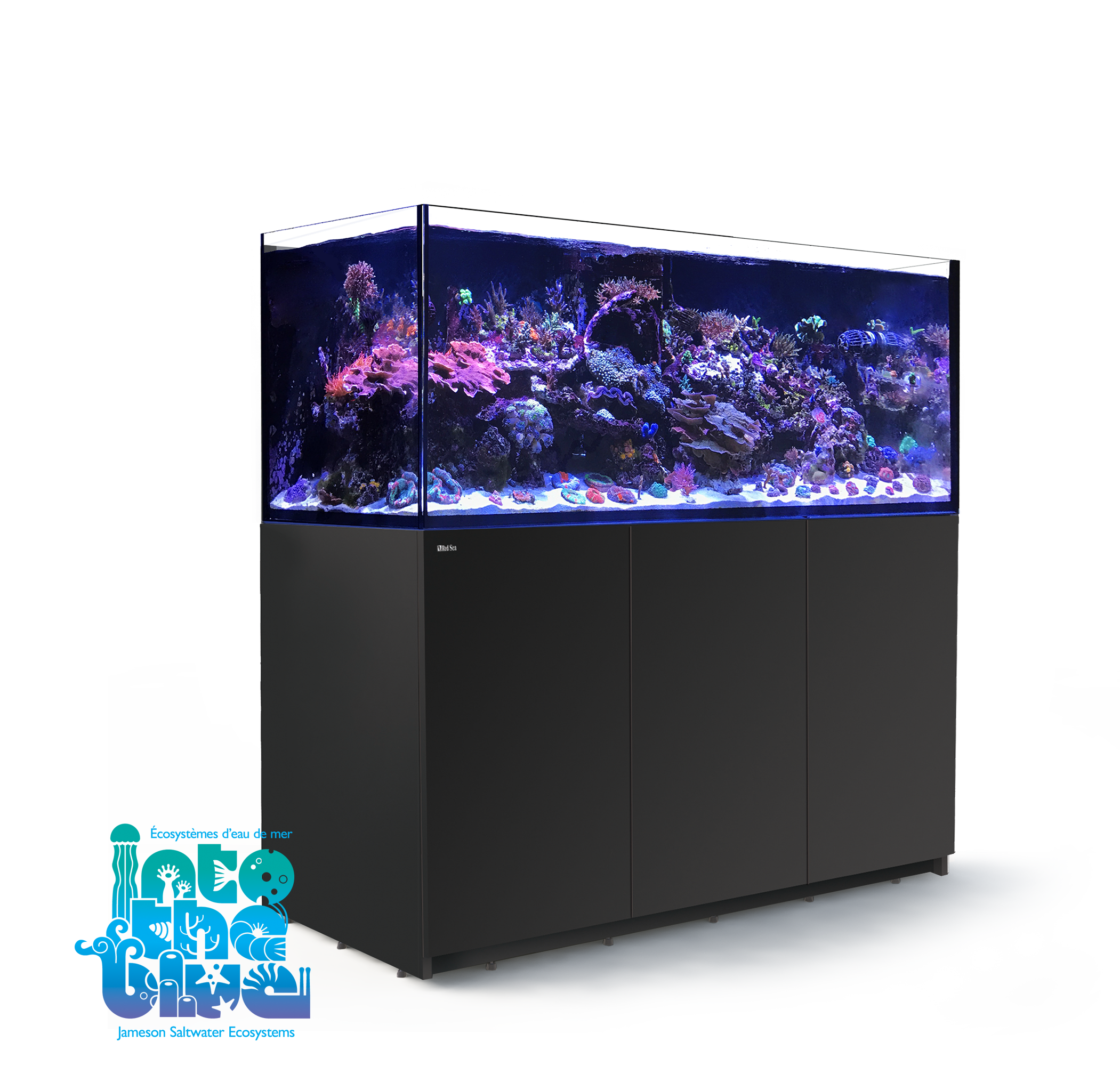 Red Sea - Reefer | XXL 625 G2