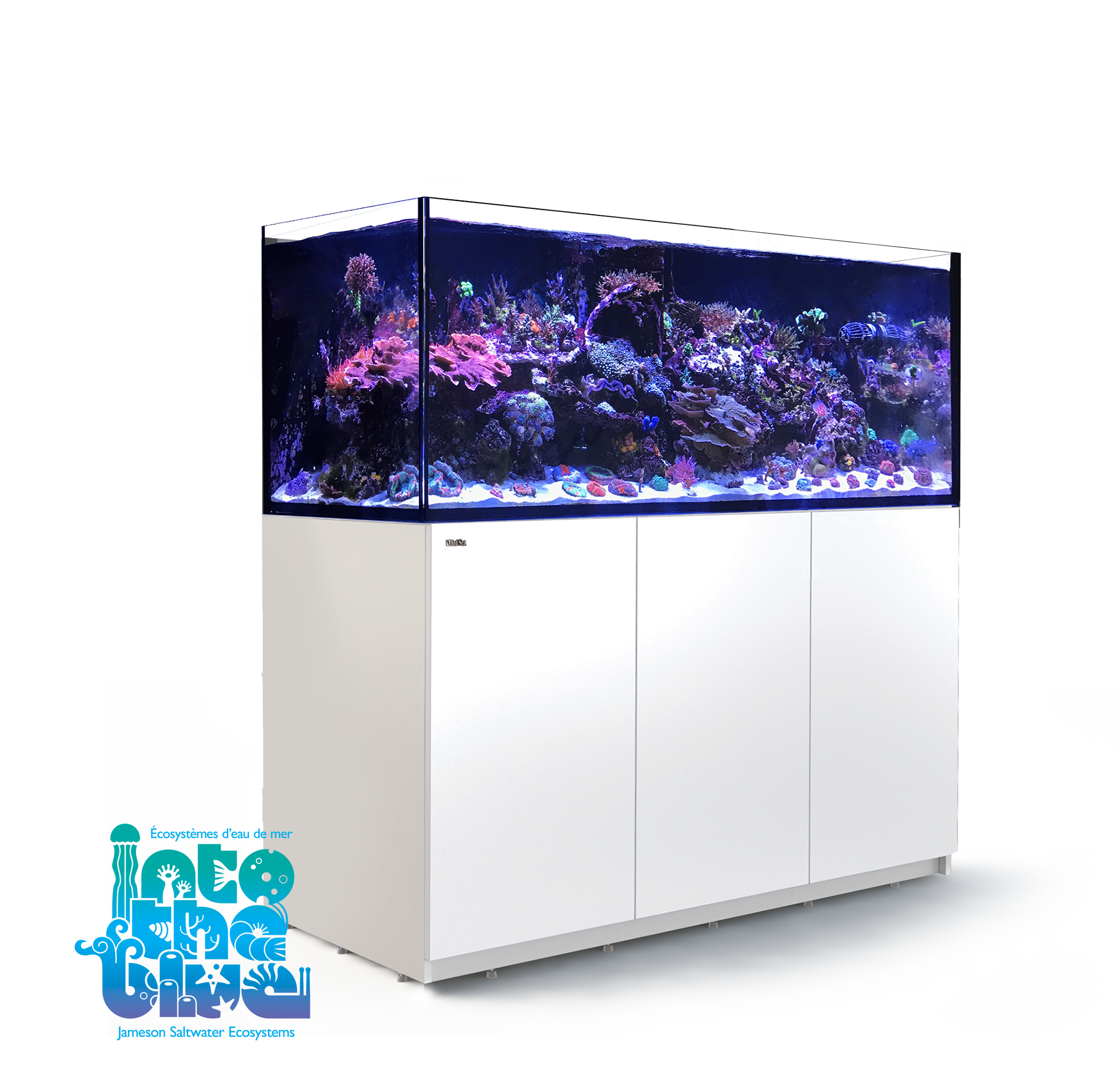 Red Sea - Reefer | XXL 625 G2