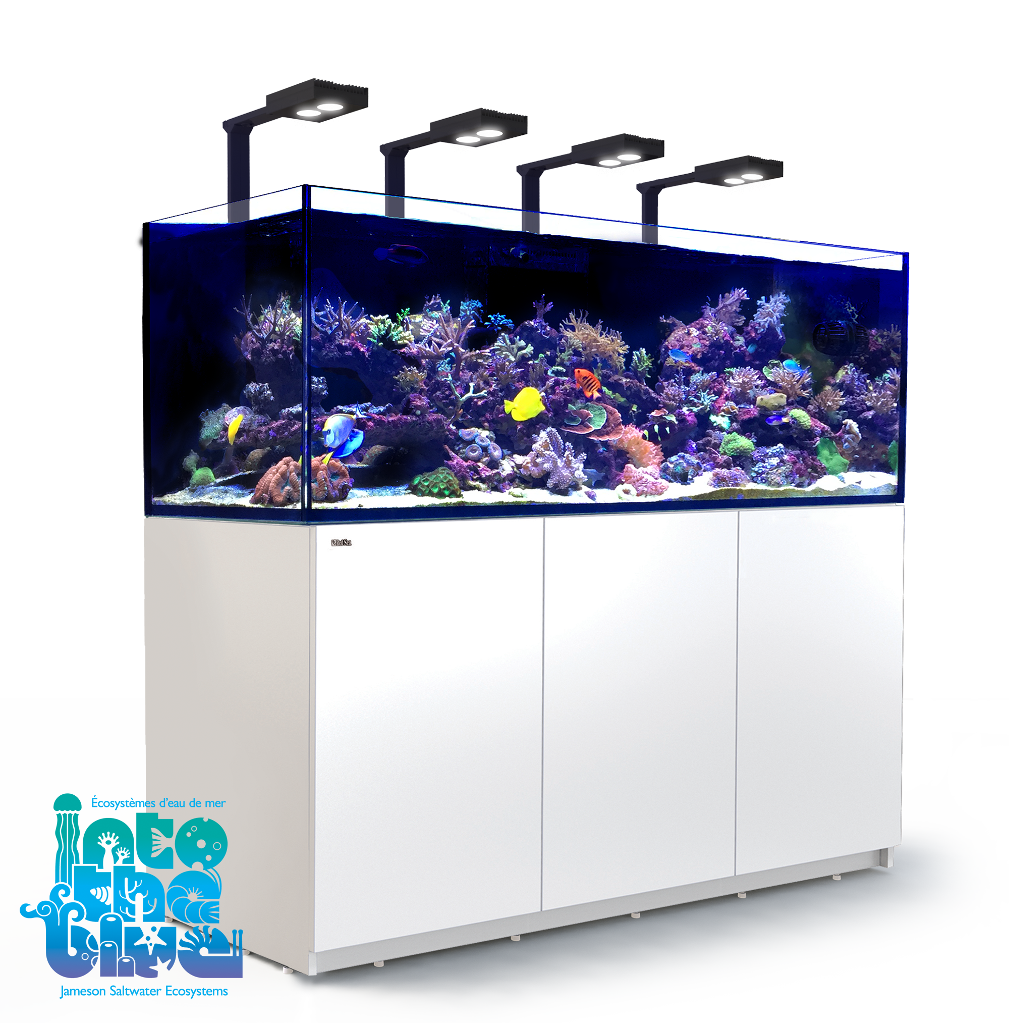 Red Sea - Reefer | XXL 750 G2