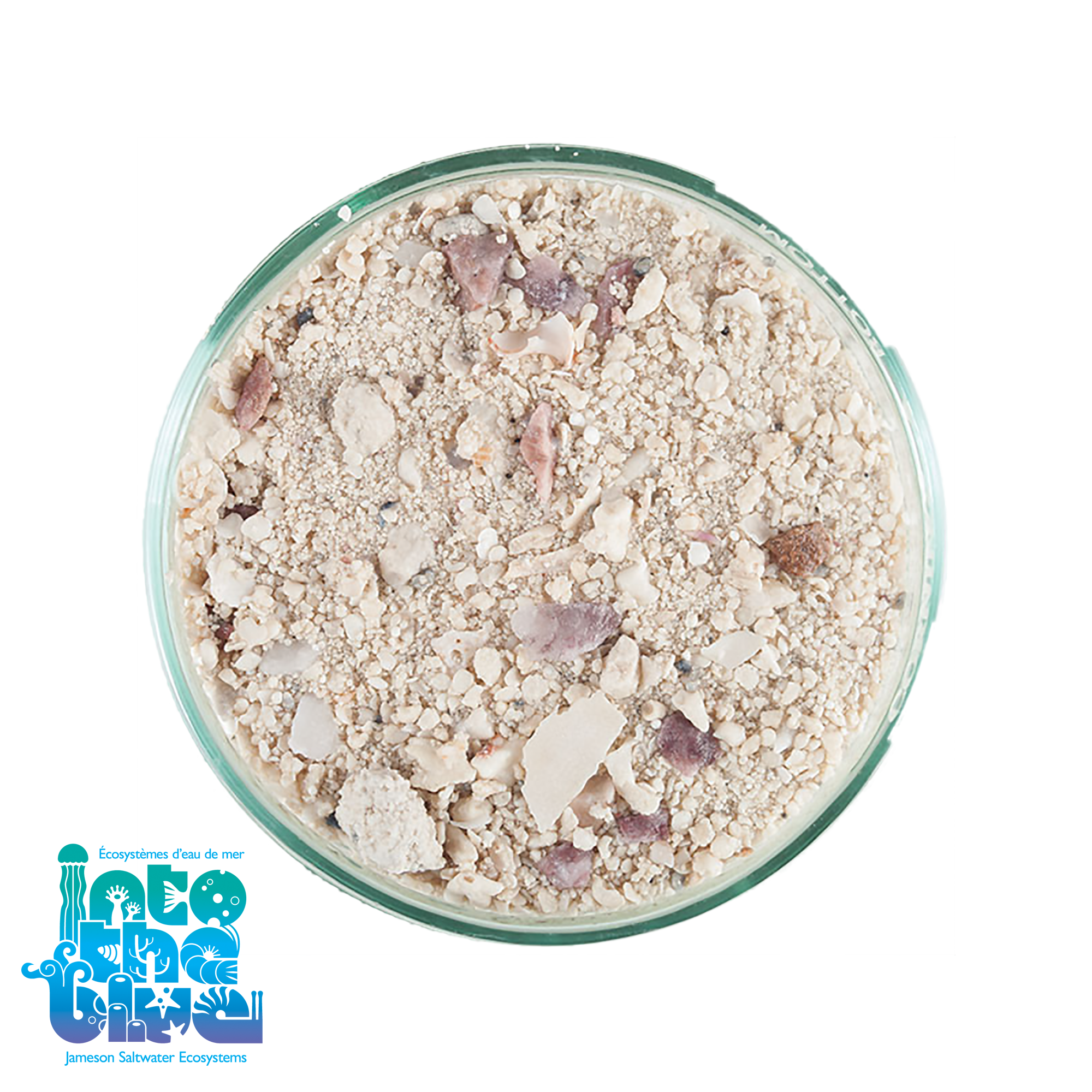 CaribSea - ARAG-ALIVE! | Reef Sand