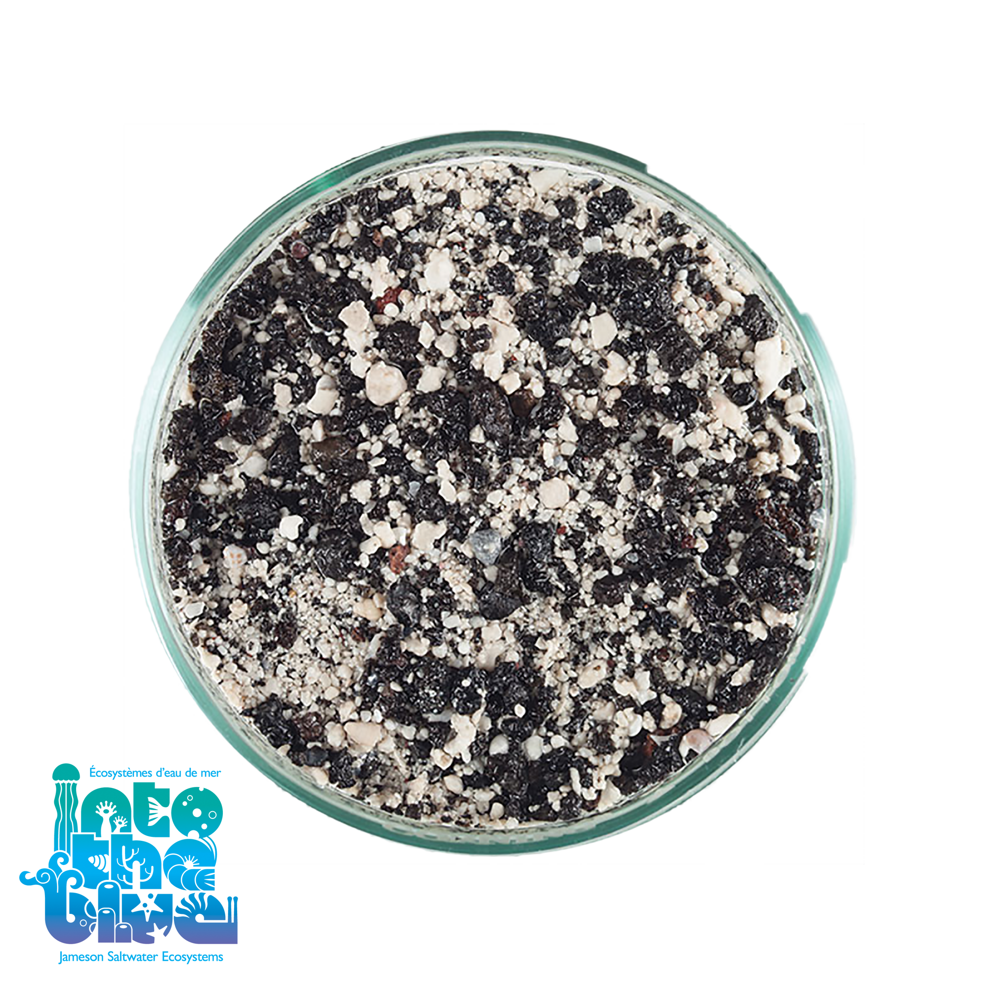 CaribSea - ARAG-ALIVE! | Reef Sand