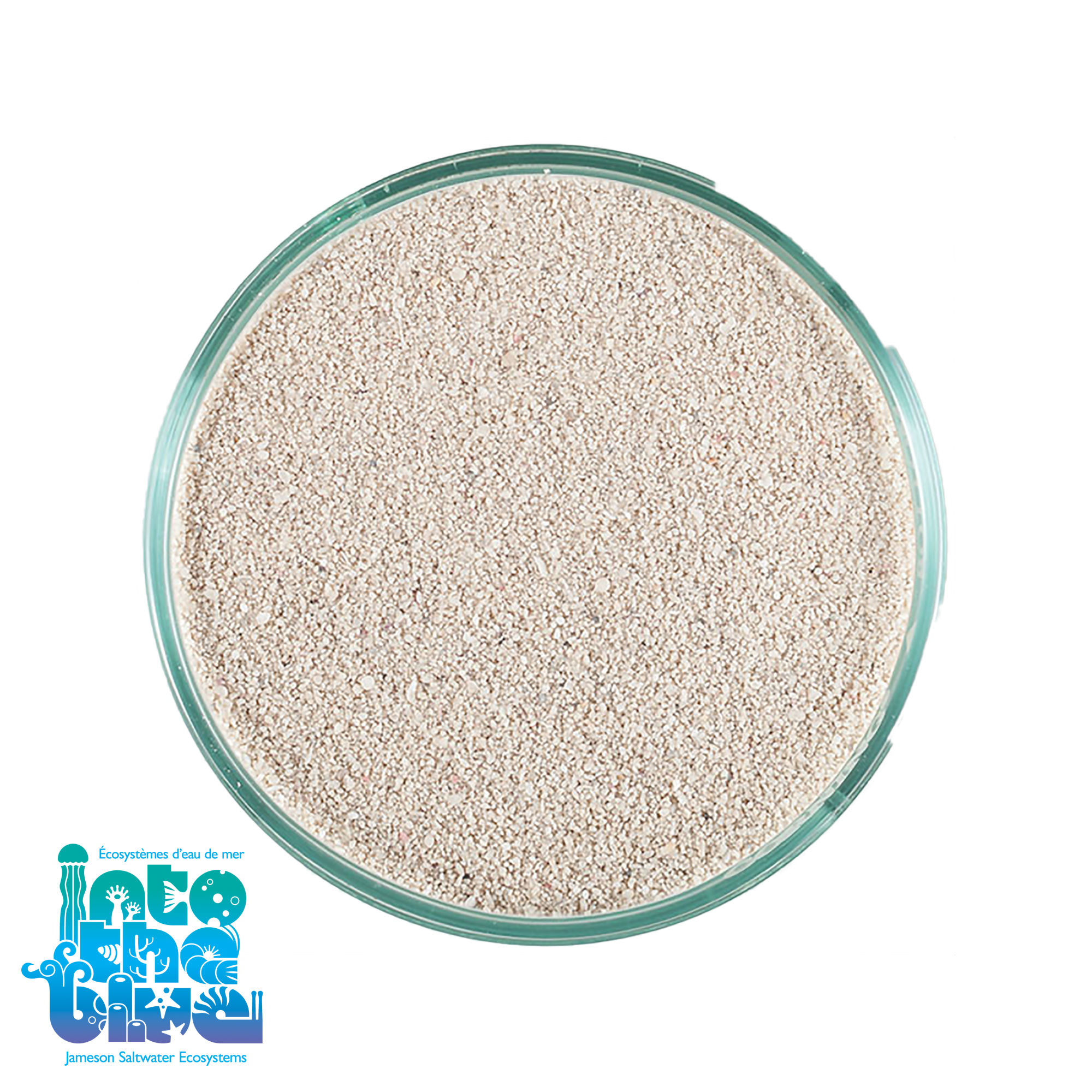 CaribSea - ARAG-ALIVE! | Reef Sand