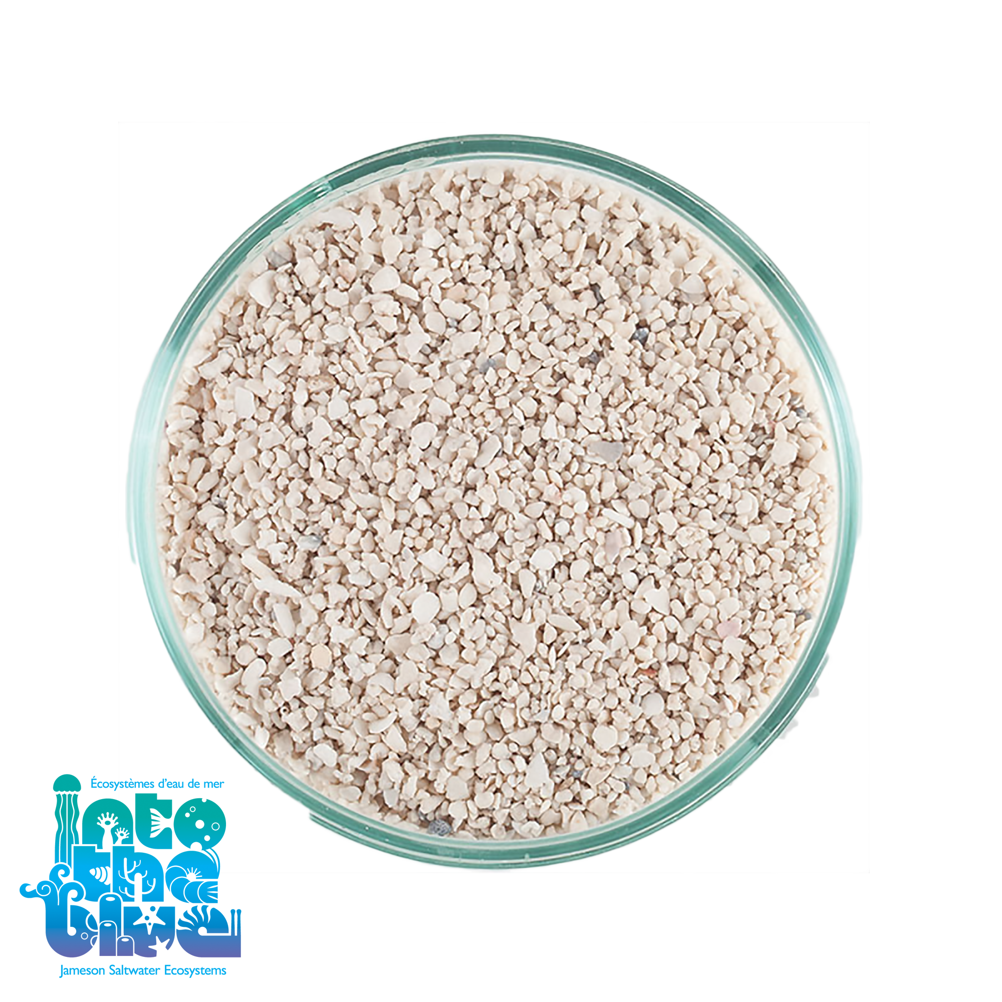 CaribSea - Aragonite | Reef Sand