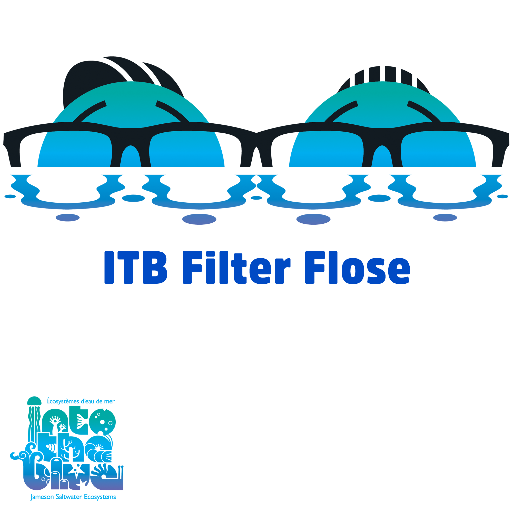 Filter Floss ITB