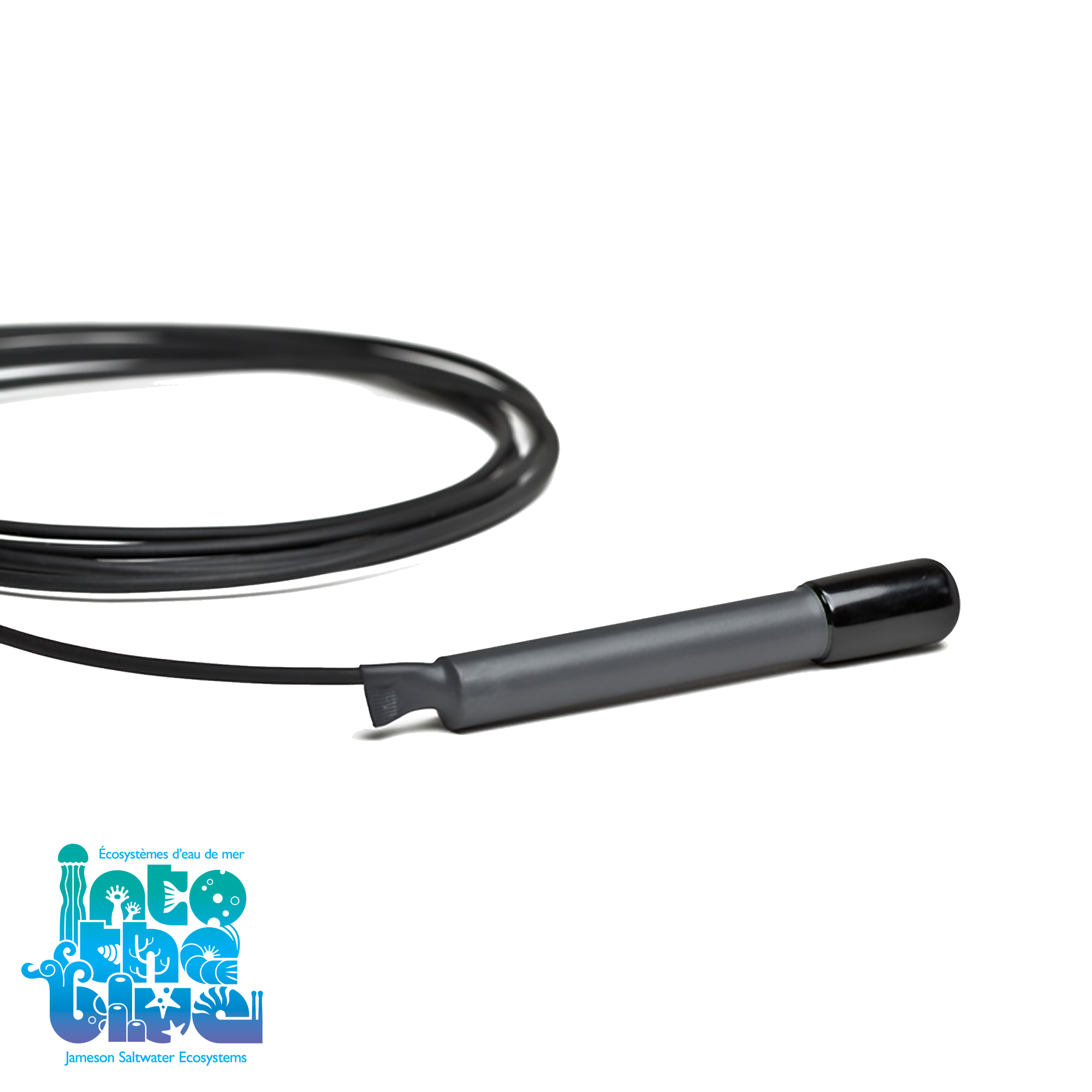 Neptune Systems - Probe | Apex Jr Temp Probe