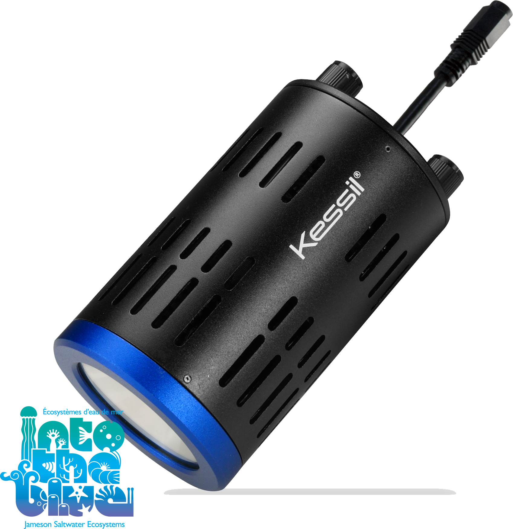 Kessil - A160WE | Tuna Blue