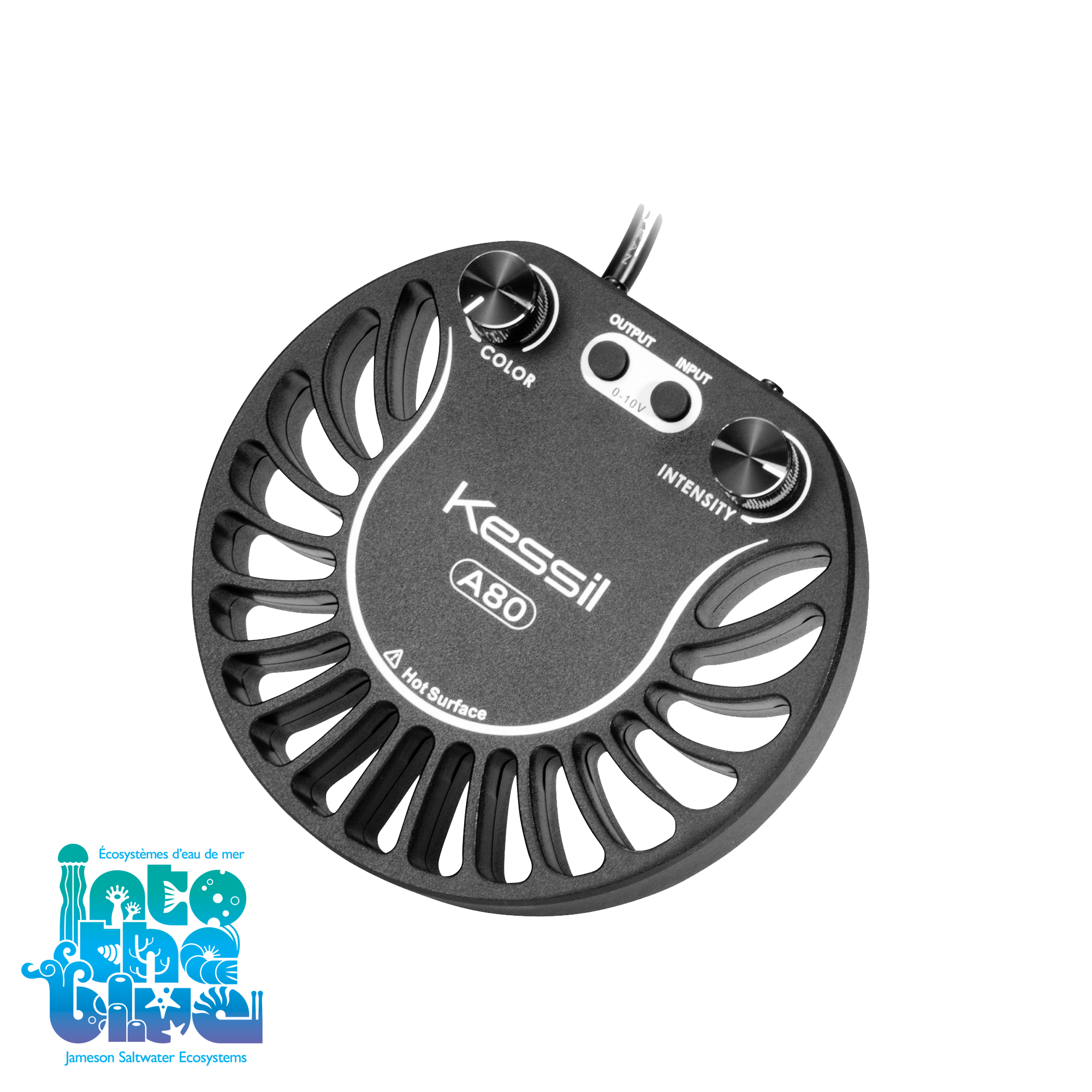 Kessil - A80WE | Tuna Blue