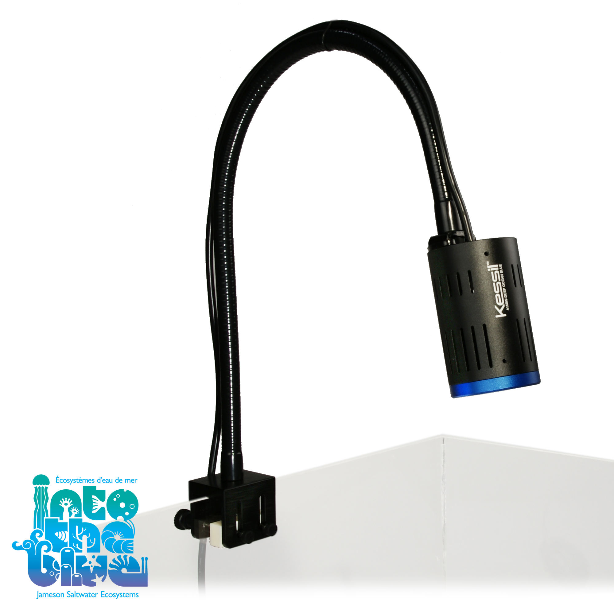 Kessil - A-Series | Gooseneck