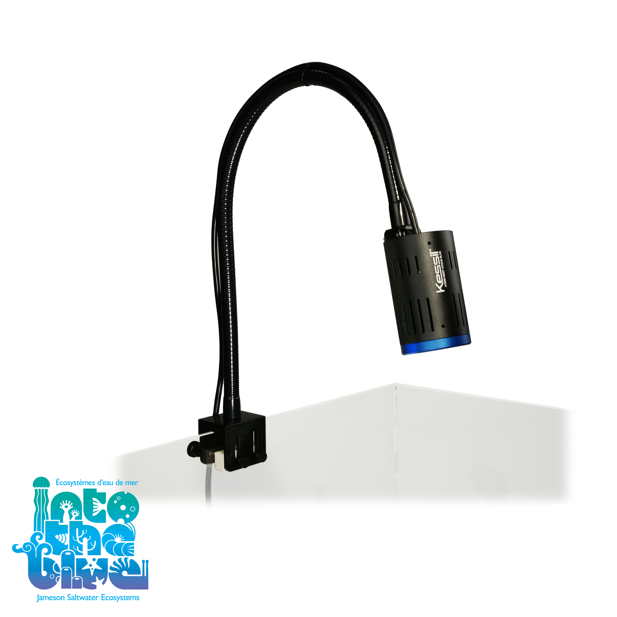 Kessil - A80 | Gooseneck