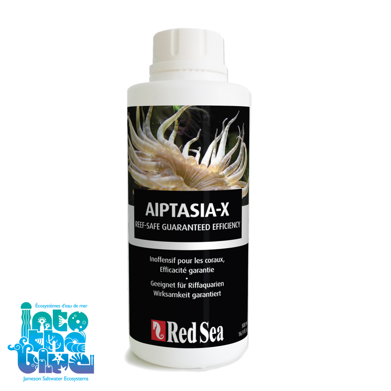 Aiptasia
