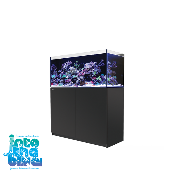 Red Sea - Reefer | 350 G2