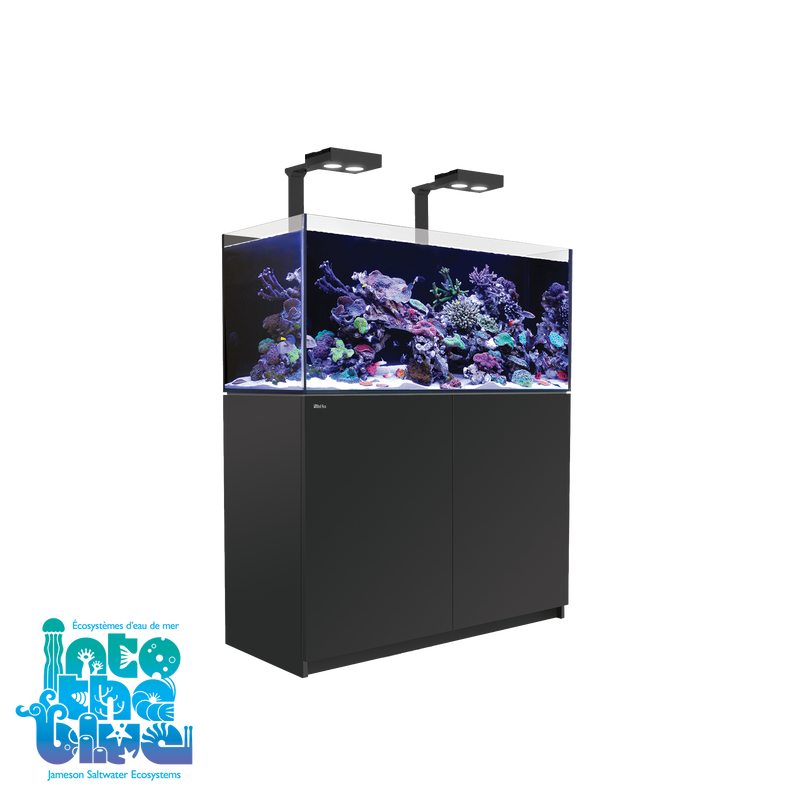 Red Sea - Reefer | 350 G2