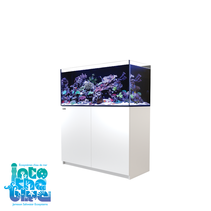 Red Sea - Reefer | 350 G2