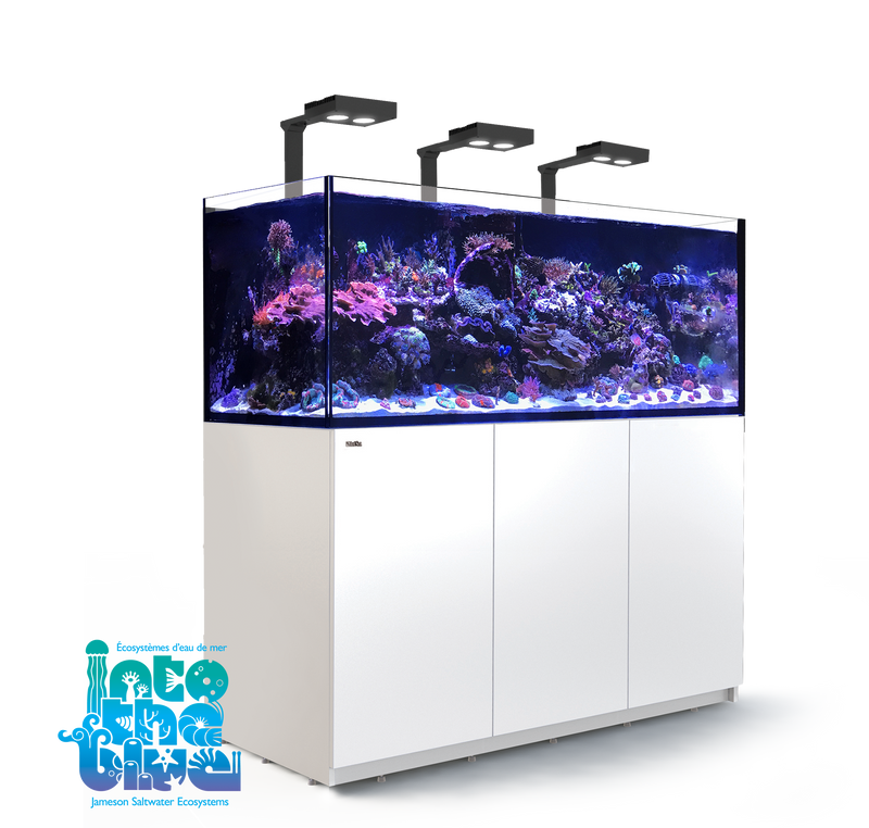 Red Sea - Reefer | XXL 625 G2