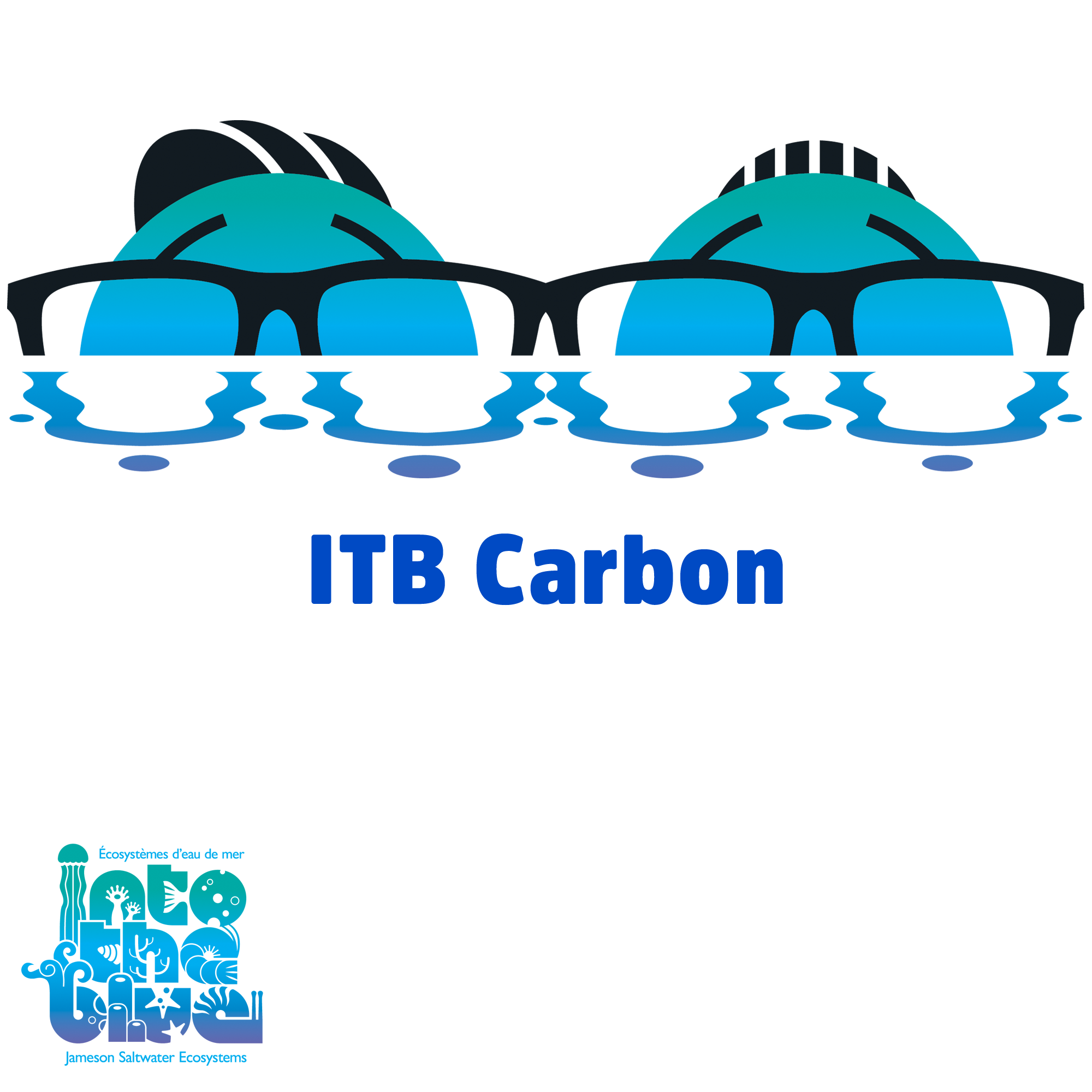 ITB - Media | Carbon