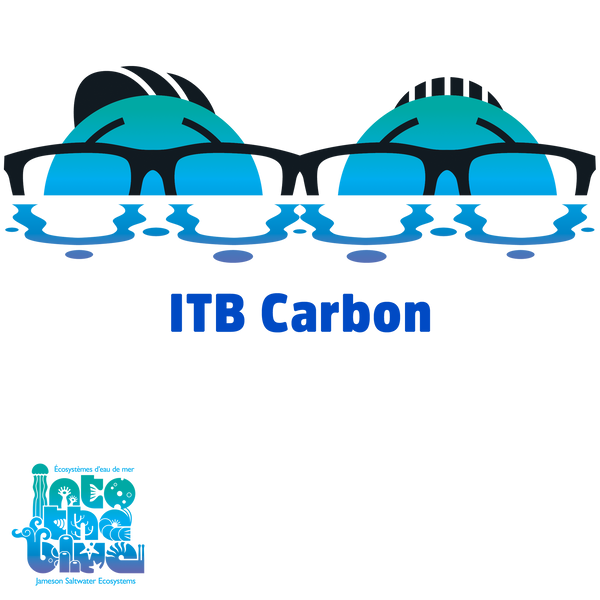 ITB - Media | Carbon