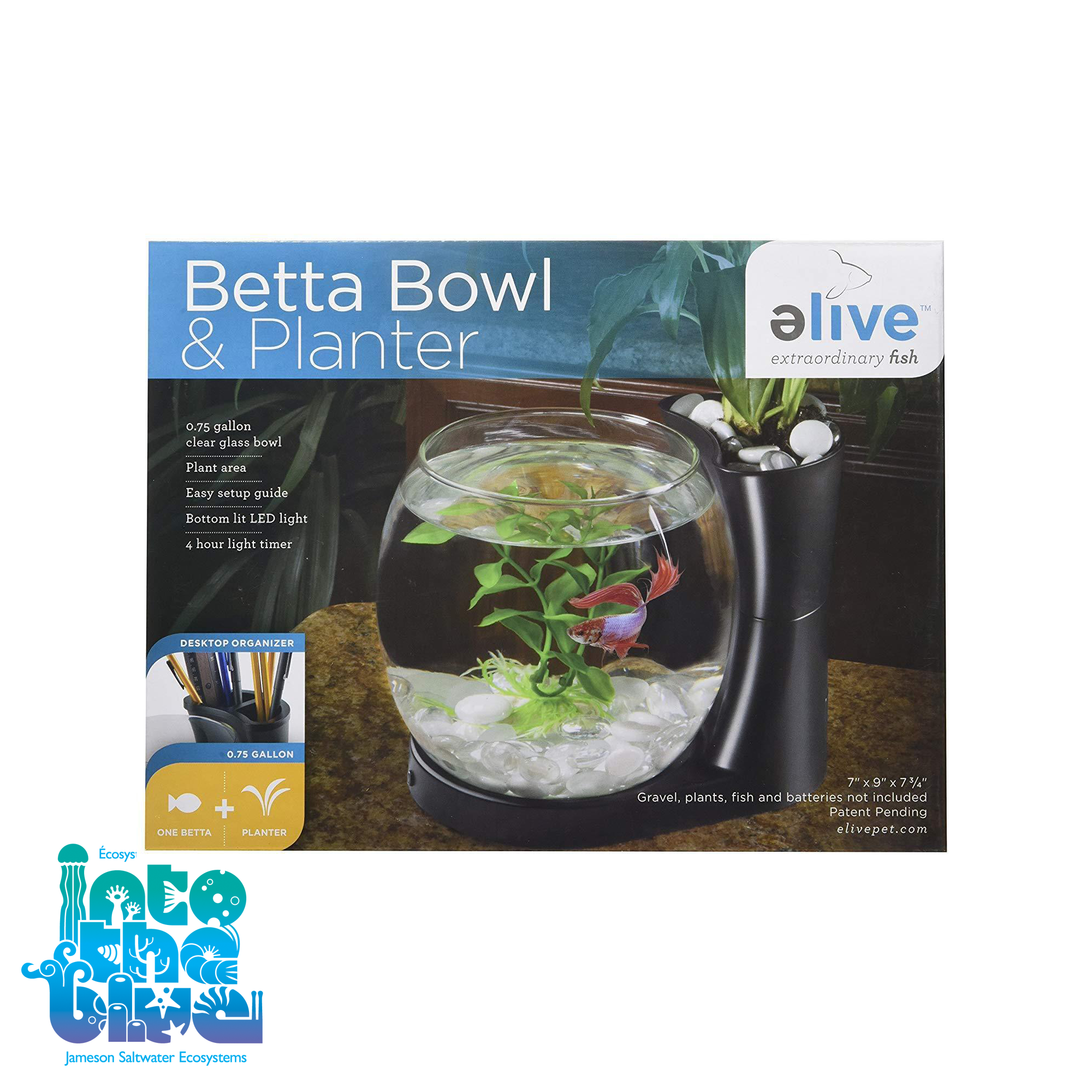 Elive - Betta Bowl + Planter | 0.75 Gallon