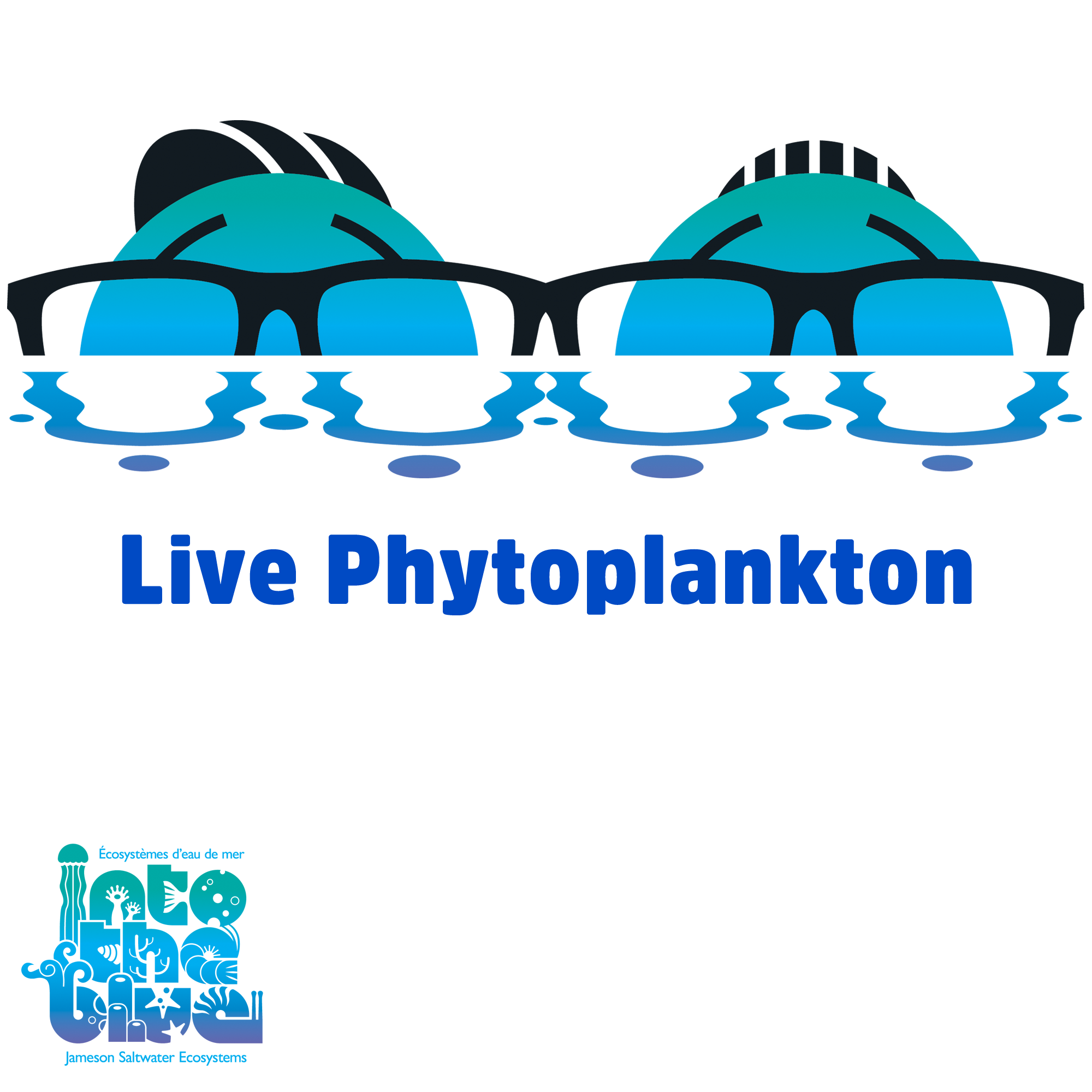 ITB Live Phytoplankton