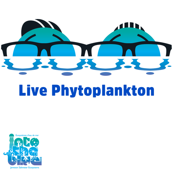 ITB Live Phytoplankton