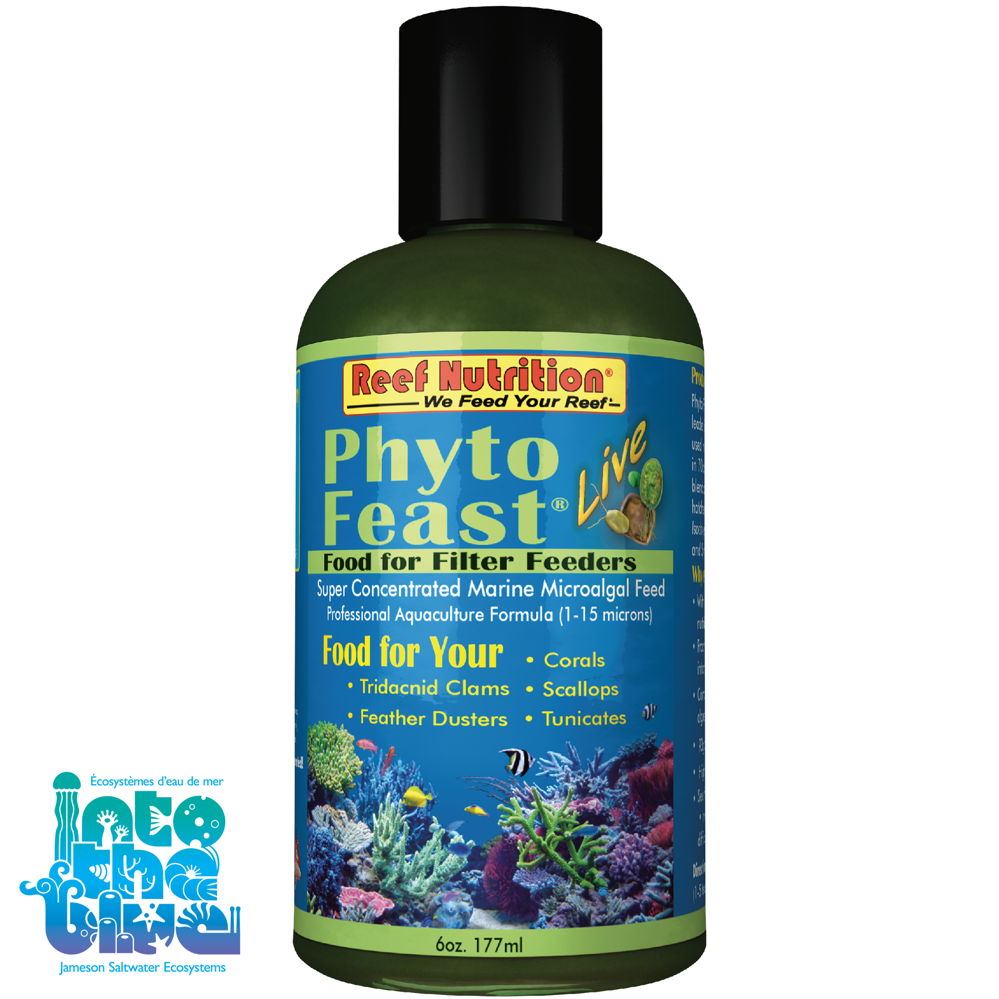 Reef Nutrition - Phyto Feast | Live