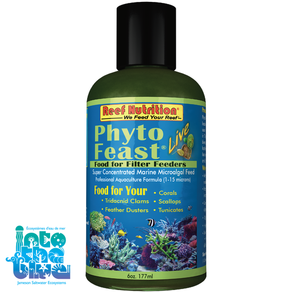 Reef Nutrition - Phyto Feast | Live