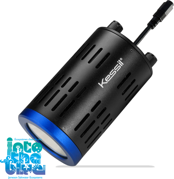Kessil - A160WE | Tuna Blue