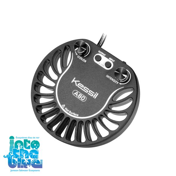 Kessil - A80WE | Tuna Blue